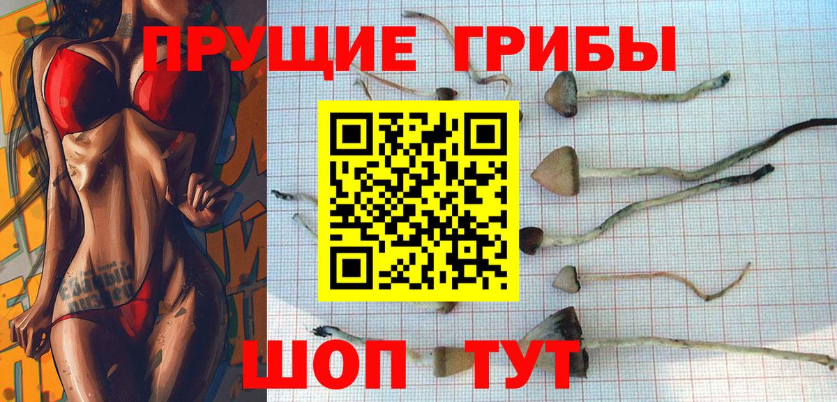 Краснотурьинск  Псилоцибиновые грибы мицелий  Вход с VPN  Галлюциногенные грибы Psilocybe 