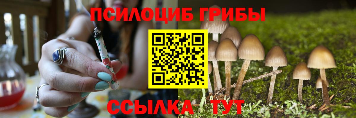 Меф МЯУ МЯУ   Cocaine  ГАШИШ  Вход с VPN  А ПВП СК   Конопля  МЕТАДОН  Краснотурьинск  МЕФ 
